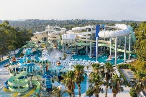 Paloma Orenda - Изображение 1